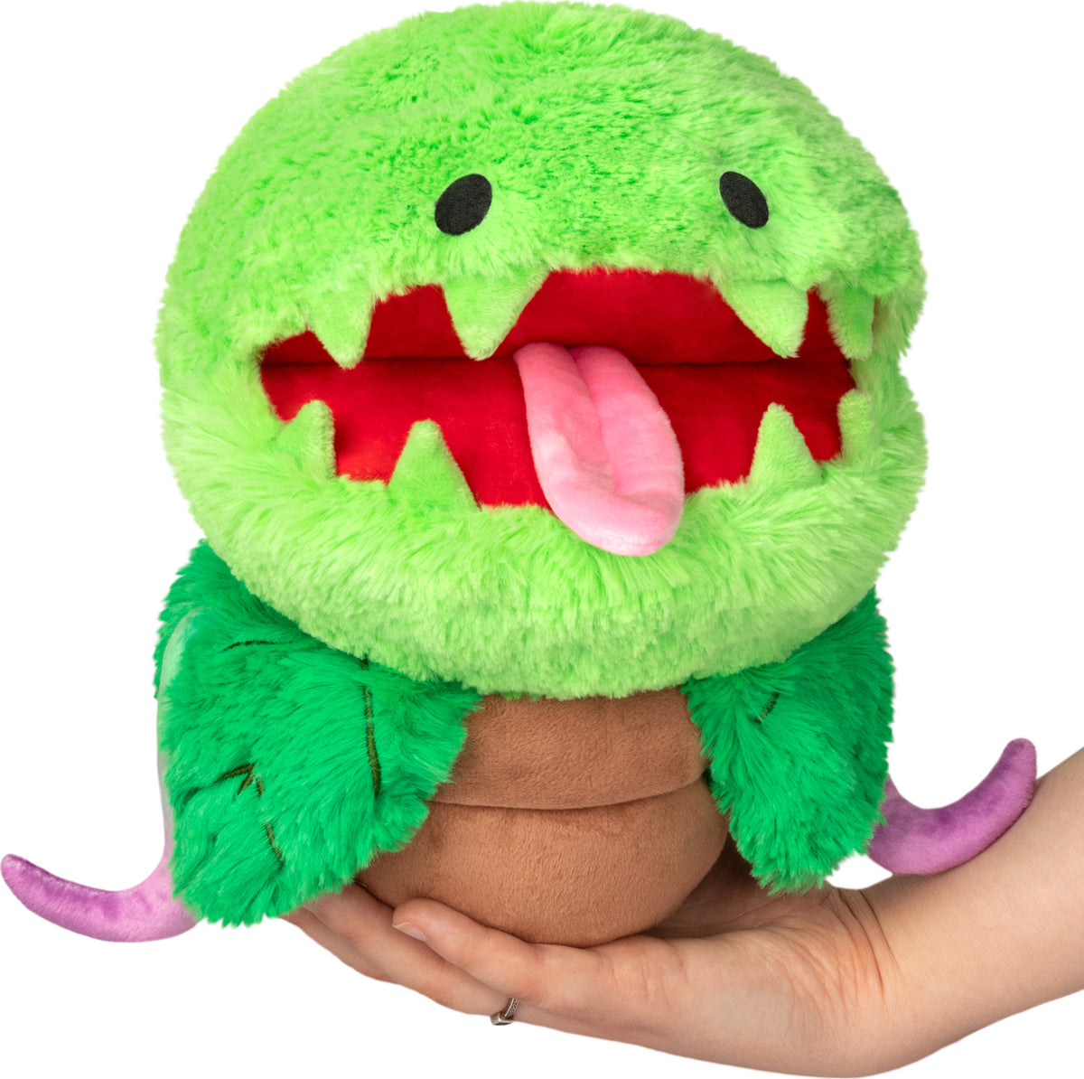 squisqu116908_1200x1194.jpg?v=