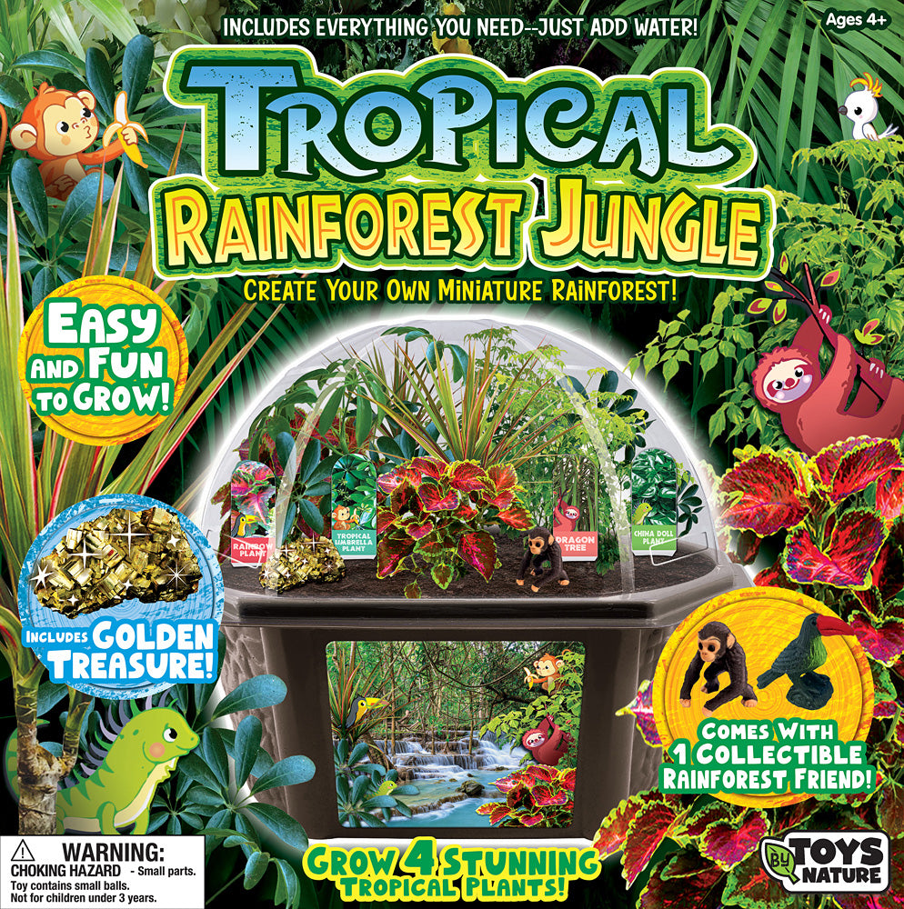 rainforest plants for terrarium Rainforest Garden Biosphere Terrarium