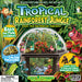 Tropical Rainforest Jungle Biosphere Terrarium