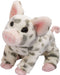 Douglas Pauline the Spotted Pig - Small