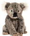 Douglas Kellen DLux Koala - 12"