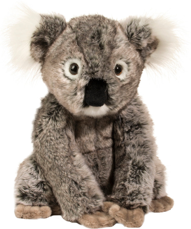 Douglas Kellen DLux Koala - 12"