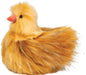 Serka D'Lux Hen