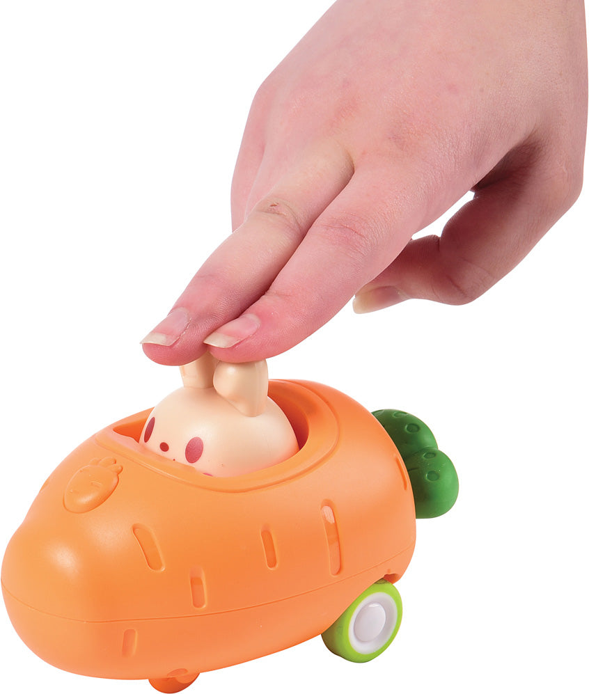 Carrot Car