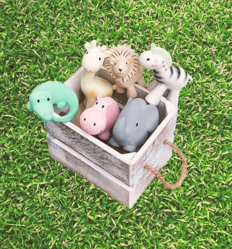Hippo Natural Organic Rubber Teether, Rattle & Bath Toy 